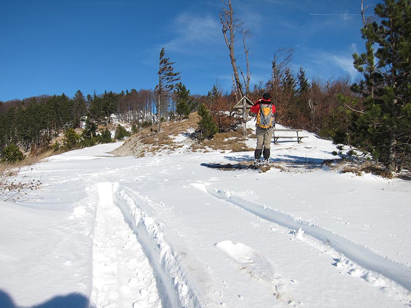 enziansteig